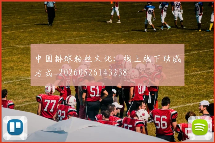 中国排球粉丝文化:线上线下助威方式_20260526143238