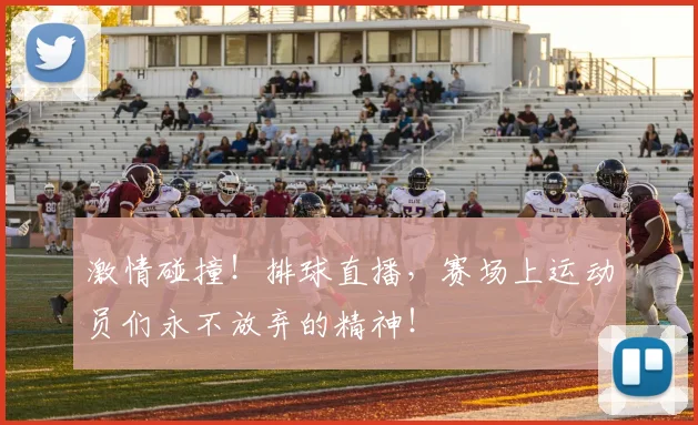 激情碰撞！排球直播，赛场上运动员们永不放弃的精神！
