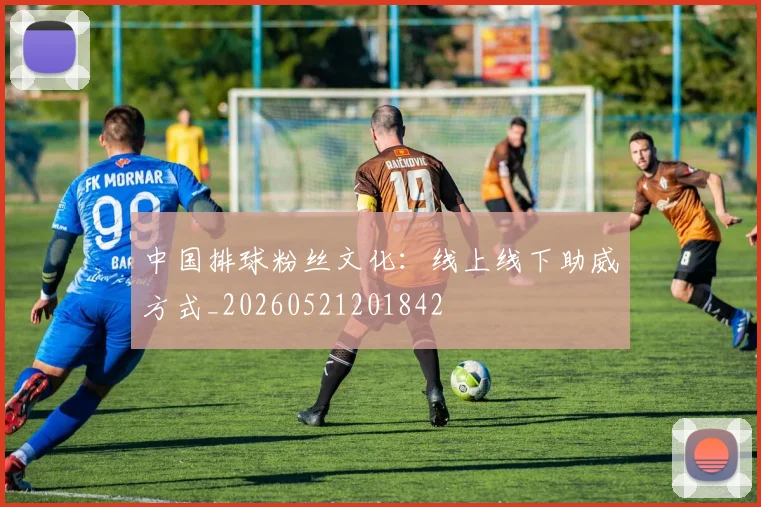 中国排球粉丝文化：线上线下助威方式_20260521201842